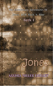 Elementary Adventures of JJBB Book 1 Cover